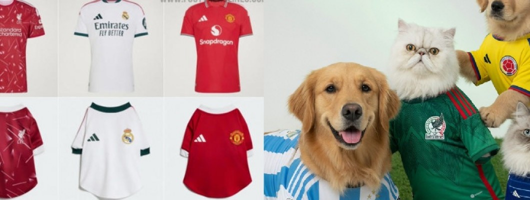 Adidas lanceert shirts voor huisdieren