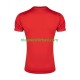 Iran Heren Shirt met Bedrukking Uit 2026 Korte Mouw