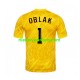 Slovenië Heren Shirt met Bedrukking Doelman Jan Oblak 1 Thuis Euro 2024 Korte Mouw