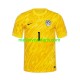 Slovenië Heren Shirt met Bedrukking Doelman Jan Oblak 1 Thuis Euro 2024 Korte Mouw
