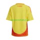 Colombia Heren Shirt met Bedrukking Thuis Copa America 2024 Korte Mouw
