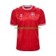 Denemarken Heren Shirt met Bedrukking Thuis Euro 2024 Korte Mouw