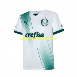 Palmeiras Heren Shirt met Bedrukking Uit 2023-2024 Korte Mouw