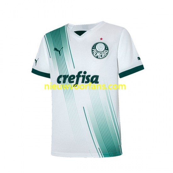Palmeiras Heren Shirt met Bedrukking Uit 2023-2024 Korte Mouw