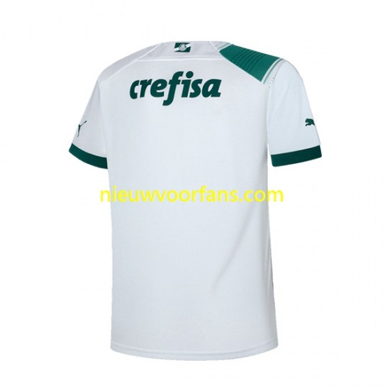 Palmeiras Heren Shirt met Bedrukking Uit 2023-2024 Korte Mouw