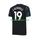 Manchester City Heren Shirt met Bedrukking Julian Alvarez 19 Derde 2023-2024 Korte Mouw