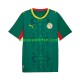 Senegal Heren Shirt met Bedrukking Uit 2026 2027 Korte Mouw