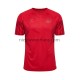 Denemarken Heren Shirt met Bedrukking Thuis WK 2022 Korte Mouw