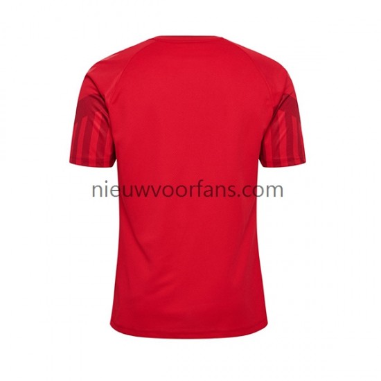 Denemarken Heren Shirt met Bedrukking Thuis WK 2022 Korte Mouw