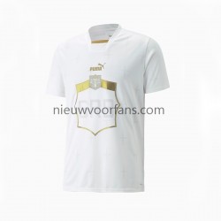 Servië Heren Shirt met Bedrukking Uit WK 2022 Korte Mouw